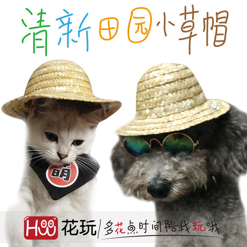 diy猫咪小狗狗宠物向日葵草帽