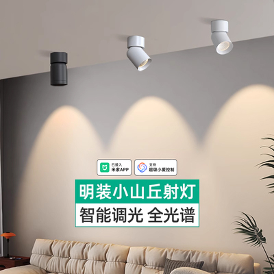明装小山丘智能射灯调光调色可调角度家用客厅已接入米家APP筒灯