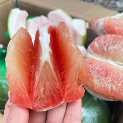 越南品种翡翠青柚新鲜红心爆汁美味高档水果特产纯甜柚子包邮