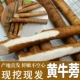 2024现挖黄金牛蒡根新鲜黄皮牛膀牛旁养生牛蒡茶片原料正品 包邮