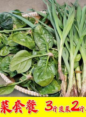 苏北农村现挖趴地菠菜红根矮杆 红根香蒜苗青蒜新鲜现挖