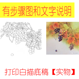 工笔画打印底稿葡萄团扇斗方初学者白描宣纸过稿DY玄关表箱装 饰画