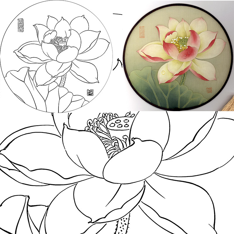 (有步骤图)工笔画打印白描底稿郑玲玲圆形团扇初学者临摹勾线练习