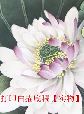 工笔画打印白描底稿素材花鸟团扇斗方初学者临摹练习
