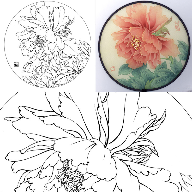 (有步骤图)工笔画打印白描底稿郑玲玲圆形团扇初学者临摹勾线练习