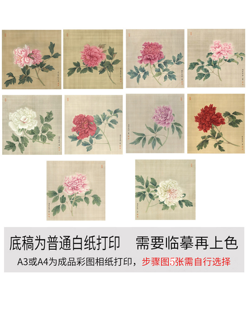 有步骤图工笔画打印白描底稿没骨牡丹用于初学者临摹勾线练习上色,家居饰品,国画,淘宝优惠券,粉丝福利购,淘宝优惠卷
