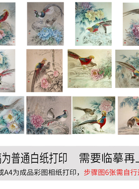 国画工笔画打印白描底稿牡丹锦鸡初学者临摹勾线上色过稿练习