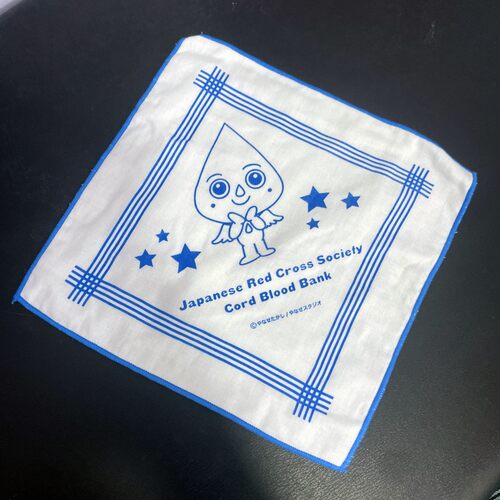 外贸出口日单岛国方毛巾