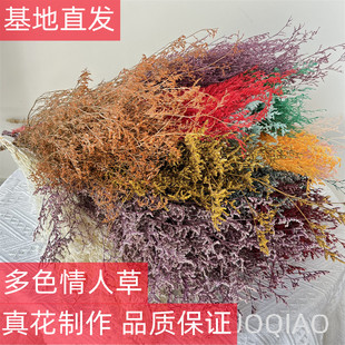 云南永生花干花保鲜花花束情人草ins轻奢家居装 饰客厅插花diy材料