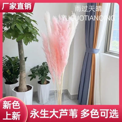 雨过天晴干花家居装饰瓶插花