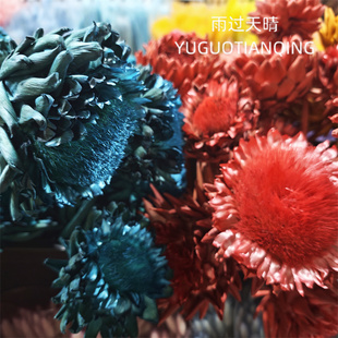 天然干花雪莲花永生花洋蓟帝王干花洋蓟轻奢小众家居软装陈设花材