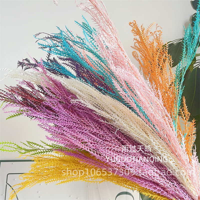 永生花帝王叶锯齿叶永生花礼盒玻璃罩DYI花材北欧风花束居家插花,鲜花速递/花卉仿真/绿植园艺,永生花,淘宝优惠券,粉丝福利购,淘宝优惠卷