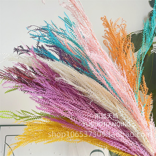 永生花帝王叶锯齿叶永生花礼盒玻璃罩DYI花材北欧风花束居家插花