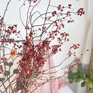 山归来永生花蔷薇果天然干花干果树枝山归来家居软装插花大气花材