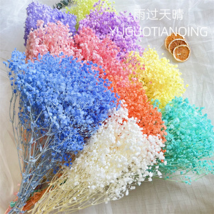 AAA级大花头梦幻星永生花千万星百万星干花天然真花花束家居软装