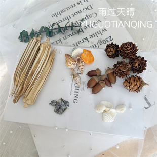 松果木片树叶干花干果DIY柠檬片桂皮贝壳尤加利圣诞树果实类花材