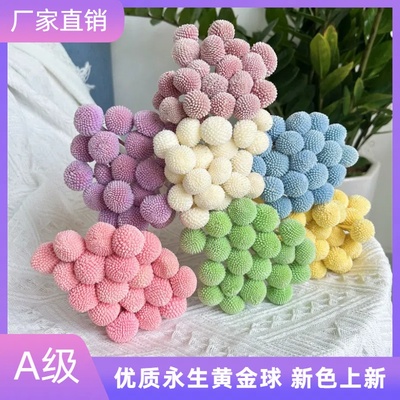 十年老店多色黄金球diy花束