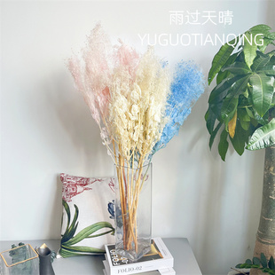 黄栌干花雾中情人永生花永生雾中情人北欧风花束家居装饰中式风花