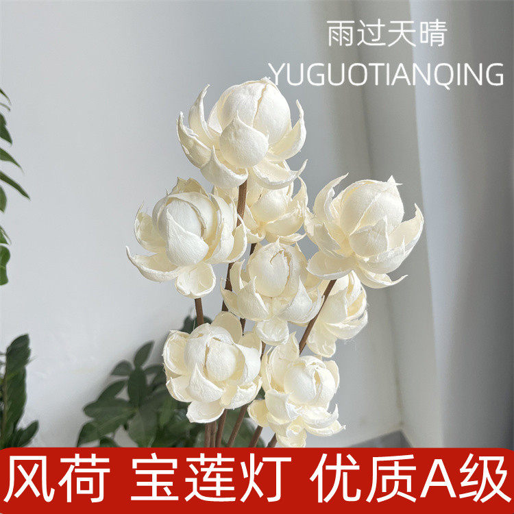 风荷手工干花宝莲灯北欧风轻奢手工干花宝莲灯木莲花客厅装饰文艺