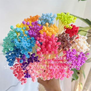 永生花快乐花迷你星星花永生花DIY永生花材玻璃罩亚克力盒子花材