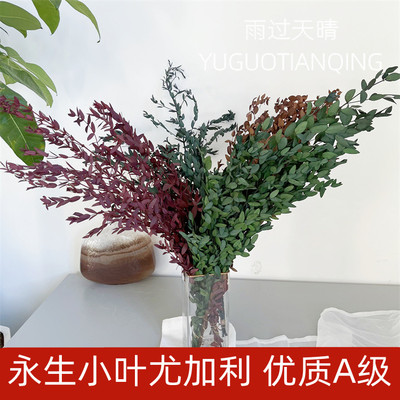 保鲜花永生花雨过天晴家居装饰