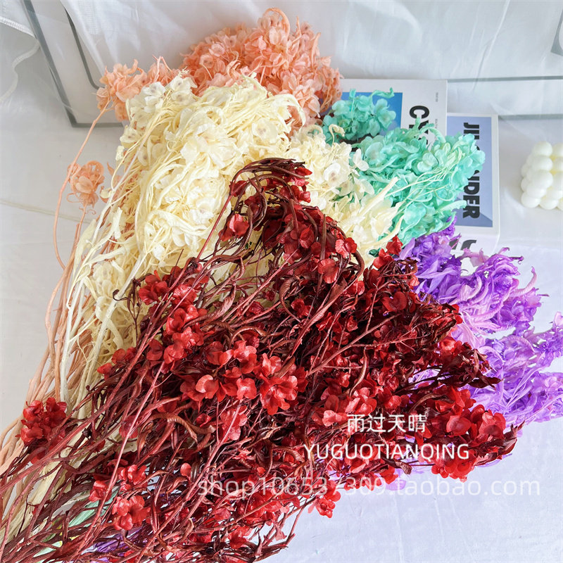 永生迎客豆永生花蝴蝶花干花婚礼花艺白色美陈场景布置年宵花瓶插,鲜花速递/花卉仿真/绿植园艺,永生花,淘宝优惠券,粉丝福利购,淘宝优惠卷