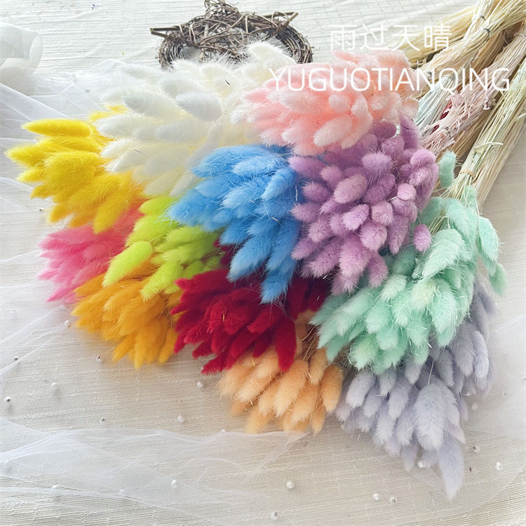 云南兔尾草50-60支干花永生花真花家居装饰跨境干花彩色狗尾巴草,鲜花速递/花卉仿真/绿植园艺,永生花,淘宝优惠券,粉丝福利购,淘宝优惠卷