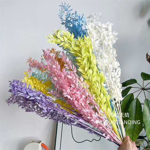 雨过天晴永生花富贵叶整把进口