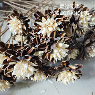马缨花干花马樱花佛系干花手工干花瓶插花中式风家居软装花材民宿