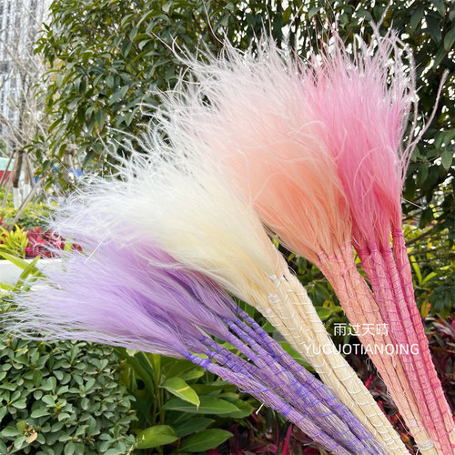 雨过天晴永生花羽毛草