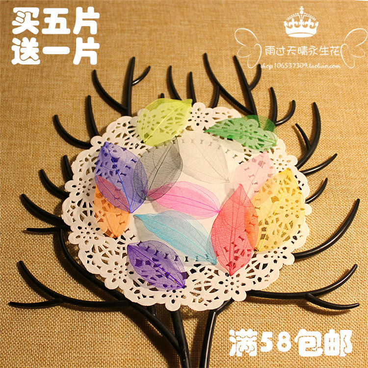 彩色叶脉 永生花盒手工手作DIY装饰花材植物教学标本干花书签,鲜花速递/花卉仿真/绿植园艺,永生花,淘宝优惠券,粉丝福利购,淘宝优惠卷
