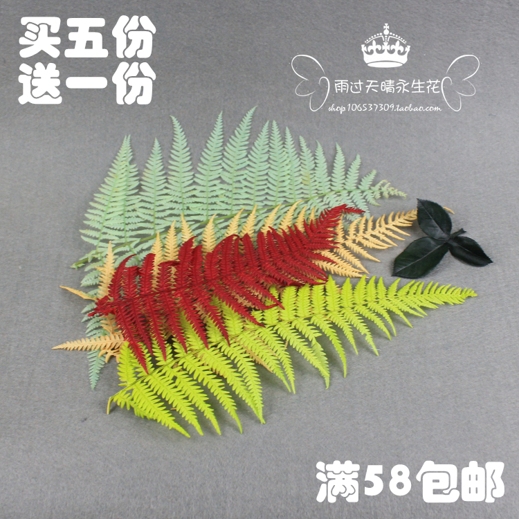 永生花保鲜花绿叶配花玫瑰叶龙须草手工DIY花材情人节不凋花配材