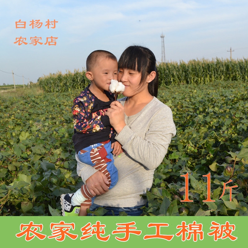 手工棉花被子加厚单人双人婴儿童学生被胎纯棉被芯冬垫被褥子11斤