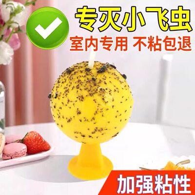 小飞虫诱捕器物理粘捕自带诱引家用室内糖果造型黄色粘蝇纸