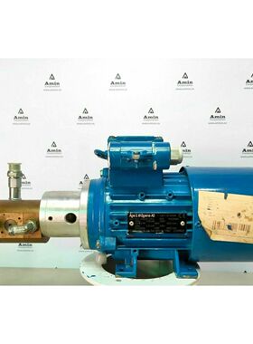 Wagene Reinigerpumpe Mit Motor 1-MOT7JE71M04K 230V, 0,25 kW