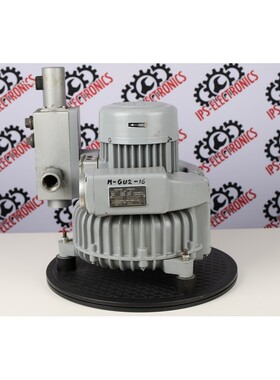 WERLE / RIETSCHLE SKS25320 (56) 101961-5613 (VACUUM PUMP) -