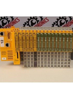 Pilz PSSu Profinet Profisafe + modules - block 12 - 6 months
