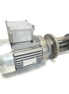 Spandau Pumpen PV 40-17 0 Eintauchpumpe