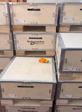 VW3A5301施耐德供应充足议价