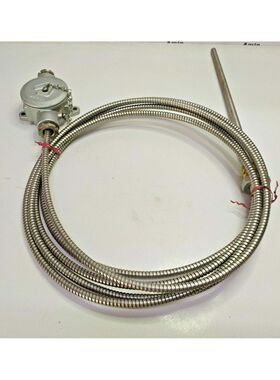 Lampadina Di Resistenza - NUOVA SPEDIZIONE GRATUITA