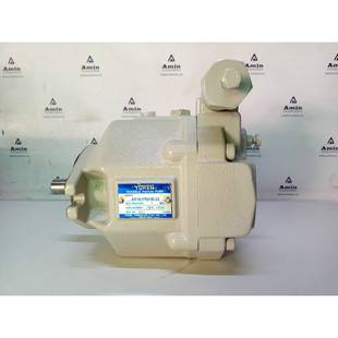 Pompa A Pistone Variabile Yuken AR16-FR01B-22 - Rigenerata