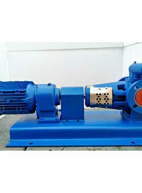 Desmi Rotan HD51EM-1U2B2 Internal Gear pump with Nord SK20-1