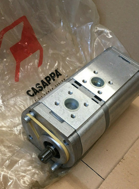NEU Dreifahpumpe CASAPPA PLP20 11,2L + 8L 01991100 07674F 05