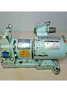 Naniwa pump TLGK-2-6L Giratorio Engranaje Bomba Con Motor Lu