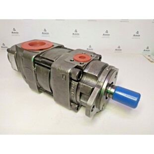 Pompa Idraulica Interna Doppia BUCHER QX43-020/21-012R - TES