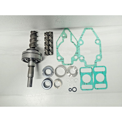 IMO 泵 ACE 025L3 NTBP 转子套件+G053 小型套件/维修套件 - 全新