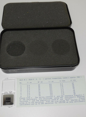 Nanosensors Pointprobes Type: S3G2T2-4L225-R