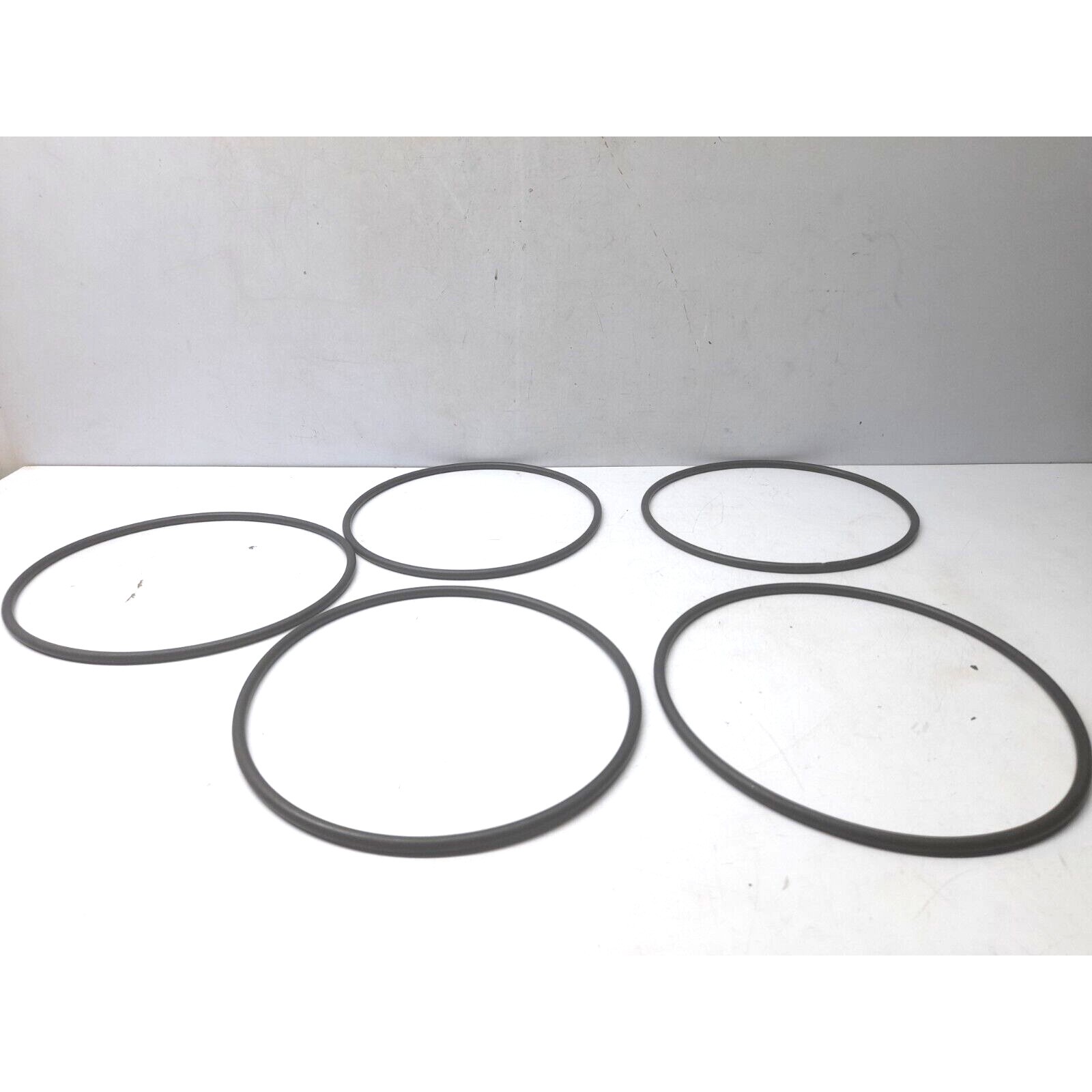 Alfa Laval 22341238 o-Ring 5PCs IN Confezione - 实物图