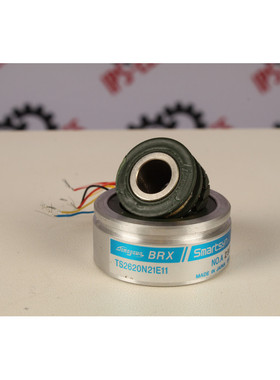 Tamagawa TS2620N21E11 (resolver) - 6 meses de garantía