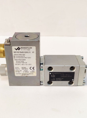 WANDFLUH MKY45/18X60-G24/L15 AEXD32061A/L15 SOLENOID 气门